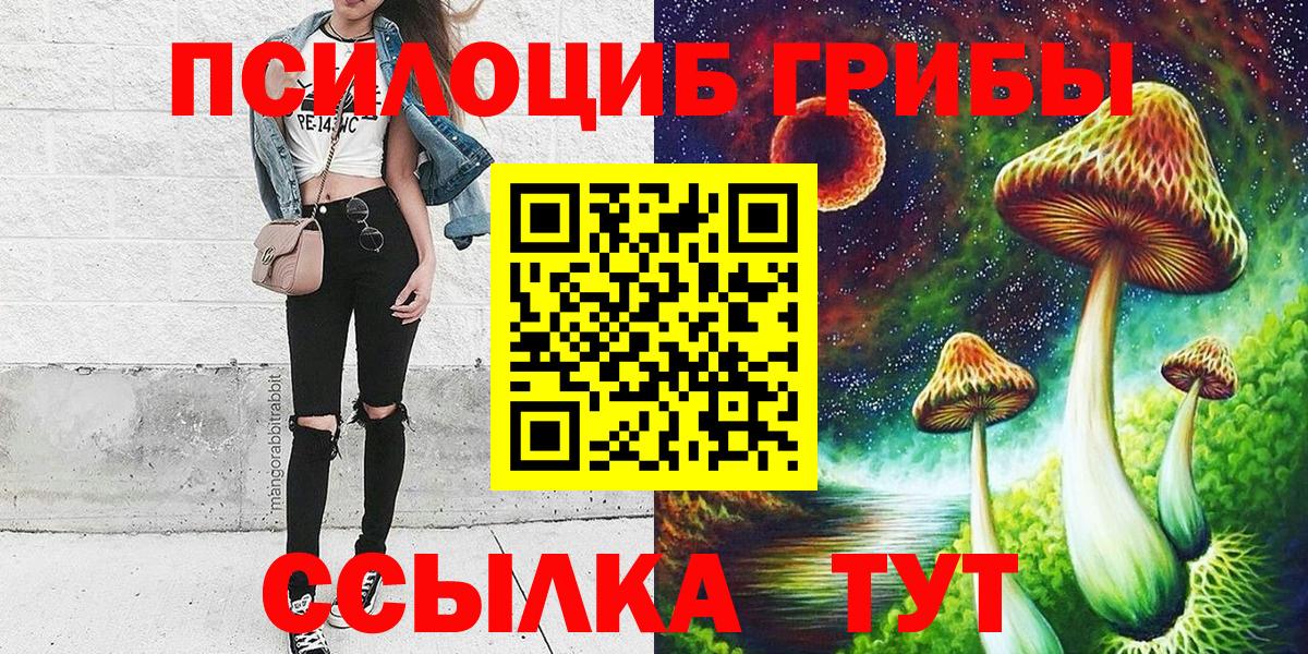 Псилоцибиновые грибы прущие грибы Владимир