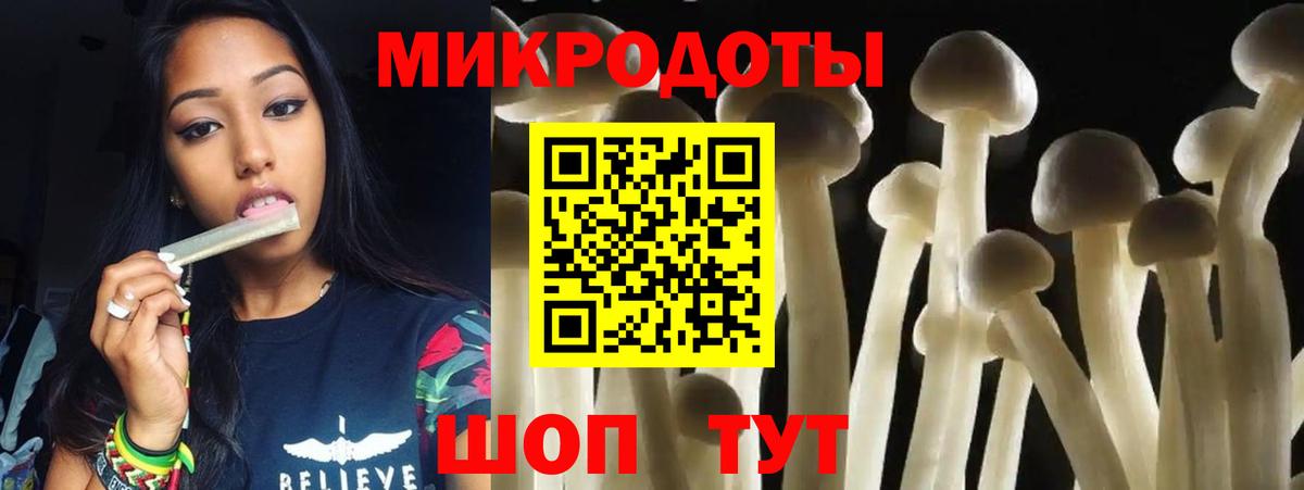 Владимир  Псилоцибиновые грибы ЛСД  Вход с VPN  Псилоцибиновые грибы MAGIC MUSHROOMS 